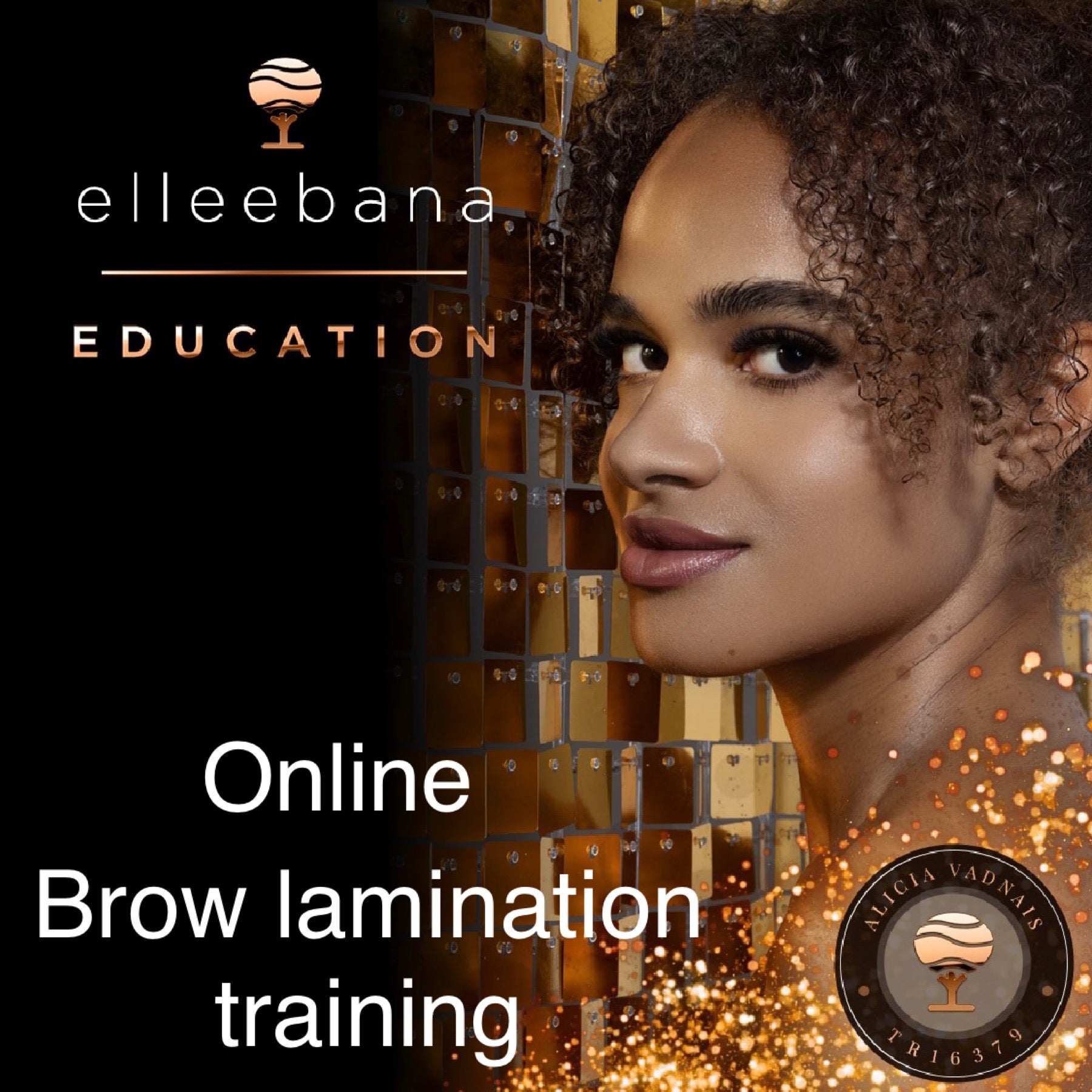 Elleeplex Profusion ONLINE Brow Lamination Certification - Panoply Beauty 
