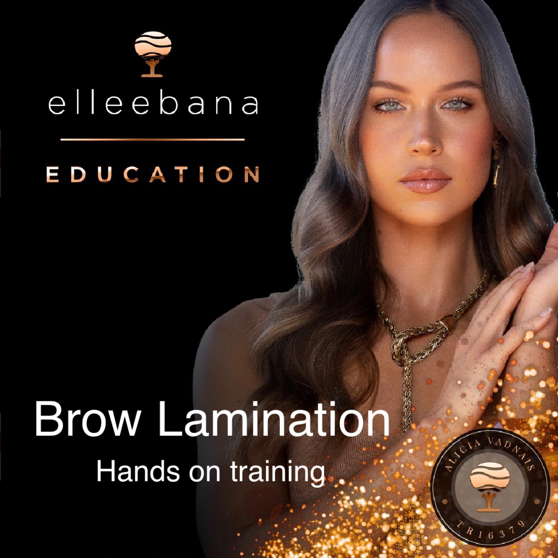 Elleeplex Profusion HANDS ON Brow Lamination Course - Panoply Beauty 