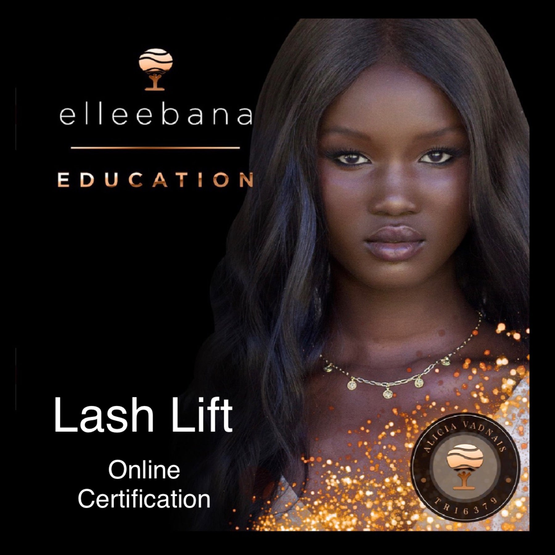 Elleebana ONLINE One Shot Lash Lift Training - Panoply Beauty 